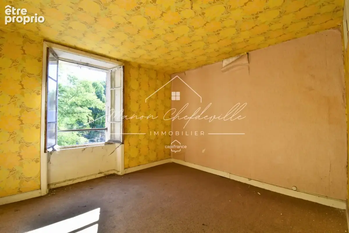 Ensemble immobilier À RÉNOVER – 3 LOTS – 231,74 m² – LANOBRE (15) - photo 6