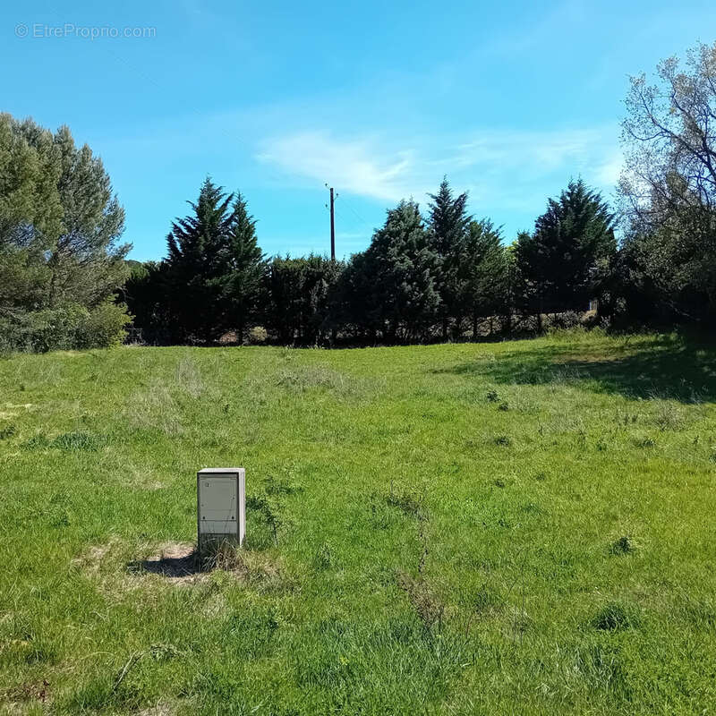 Terrain à MONTOLIEU