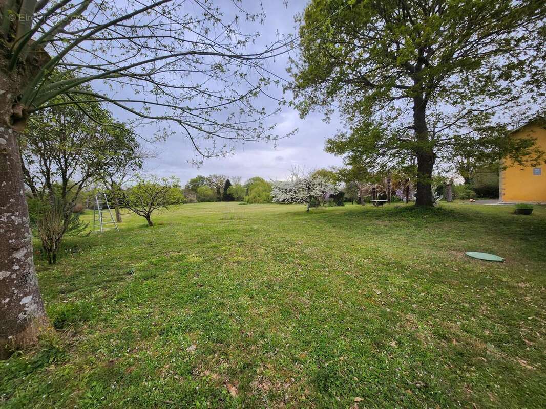 Photo 6 - Maison à ESTANG