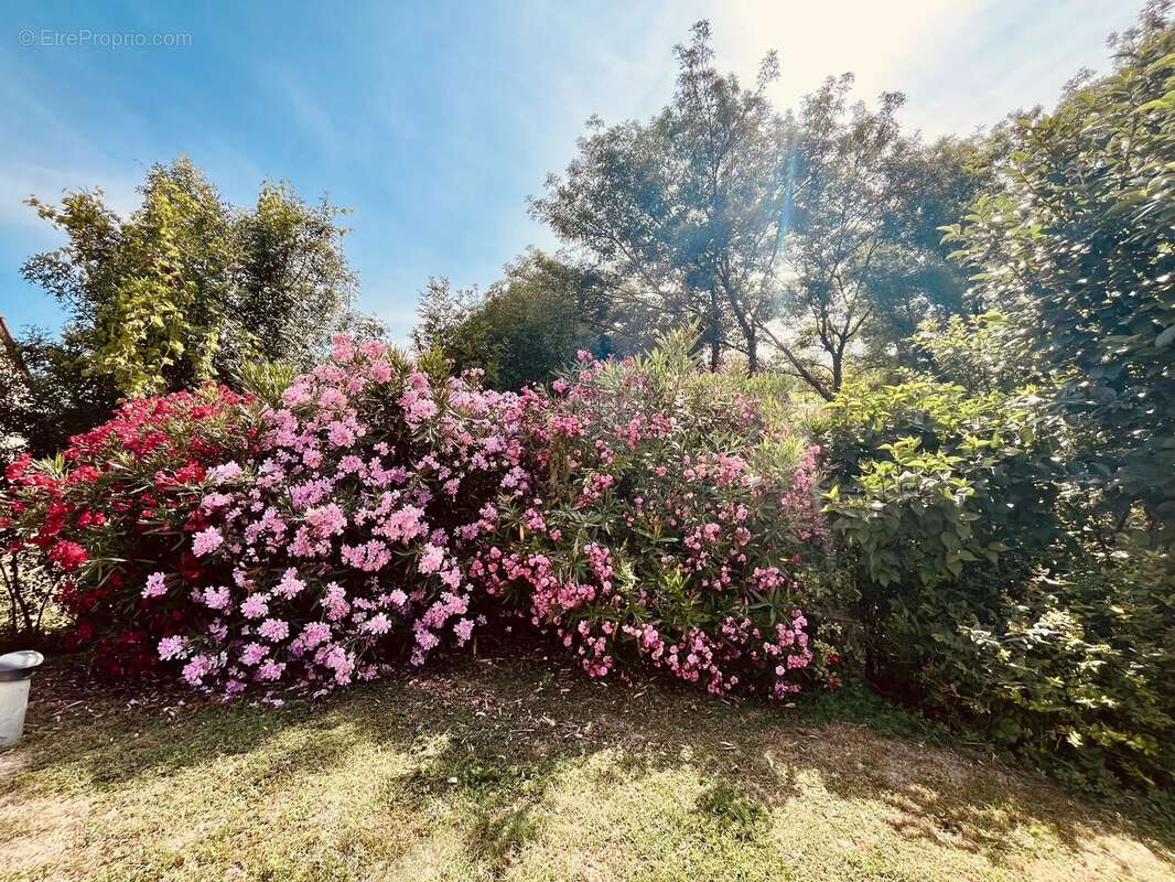 Maison de plain-pied avec quatre chambres, beau jardin et terrasse couverte - photo 11