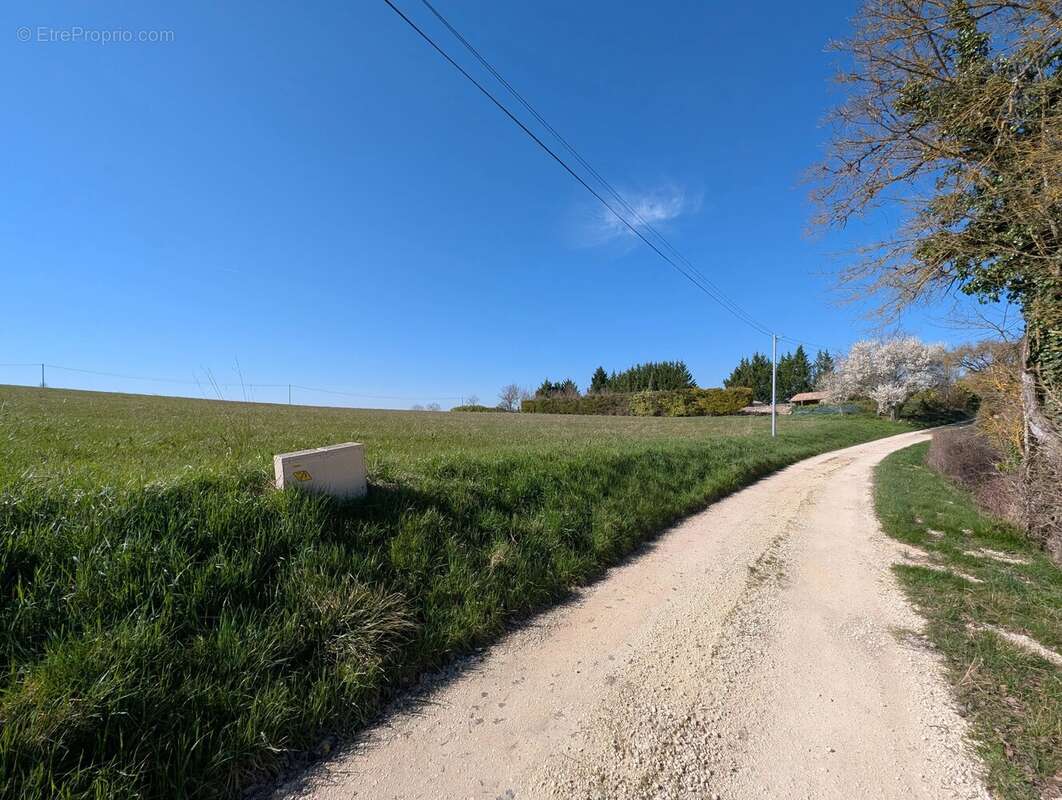 Terrain à MONFLANQUIN