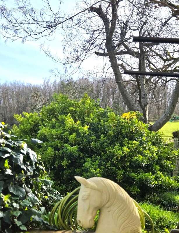 Maison à LISLE-SUR-TARN