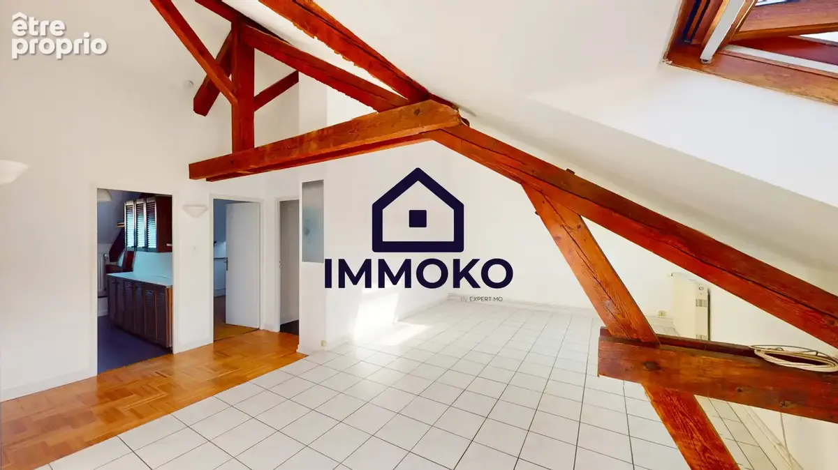 Grand appartement T2/3 lumineux et spacieux - photo 7