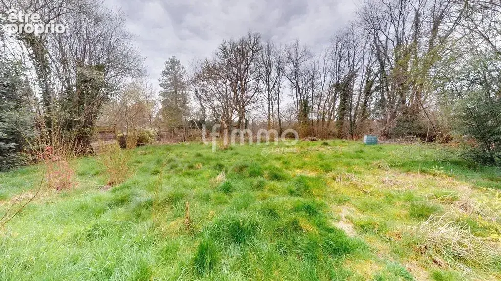 Propriété atypique – 2 bergeries landaises avec piscine - photo 5