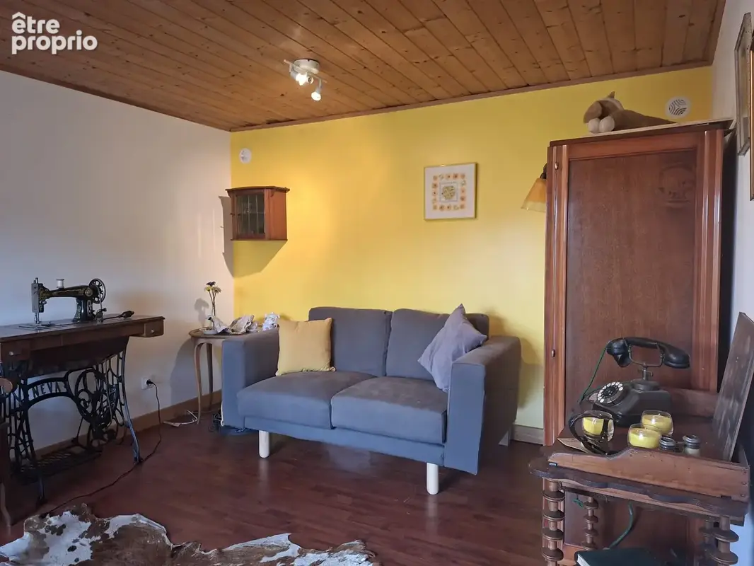 Maison en pierres avec gîte sur 2500 m2 de terrain - photo 8