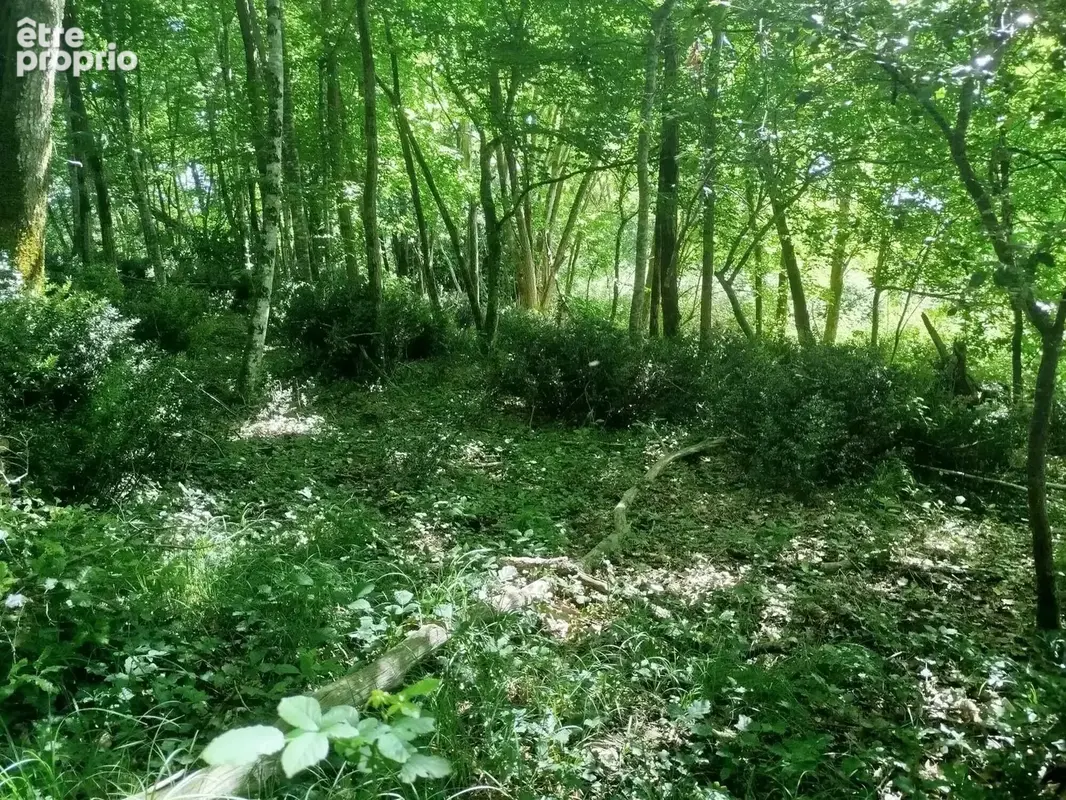 Terrain 8 028 m² à vendre à Sarlat-La-Caneda (24200) - photo 5