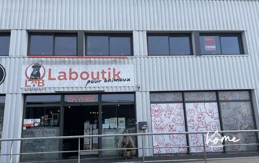 Autre à LANDERNEAU