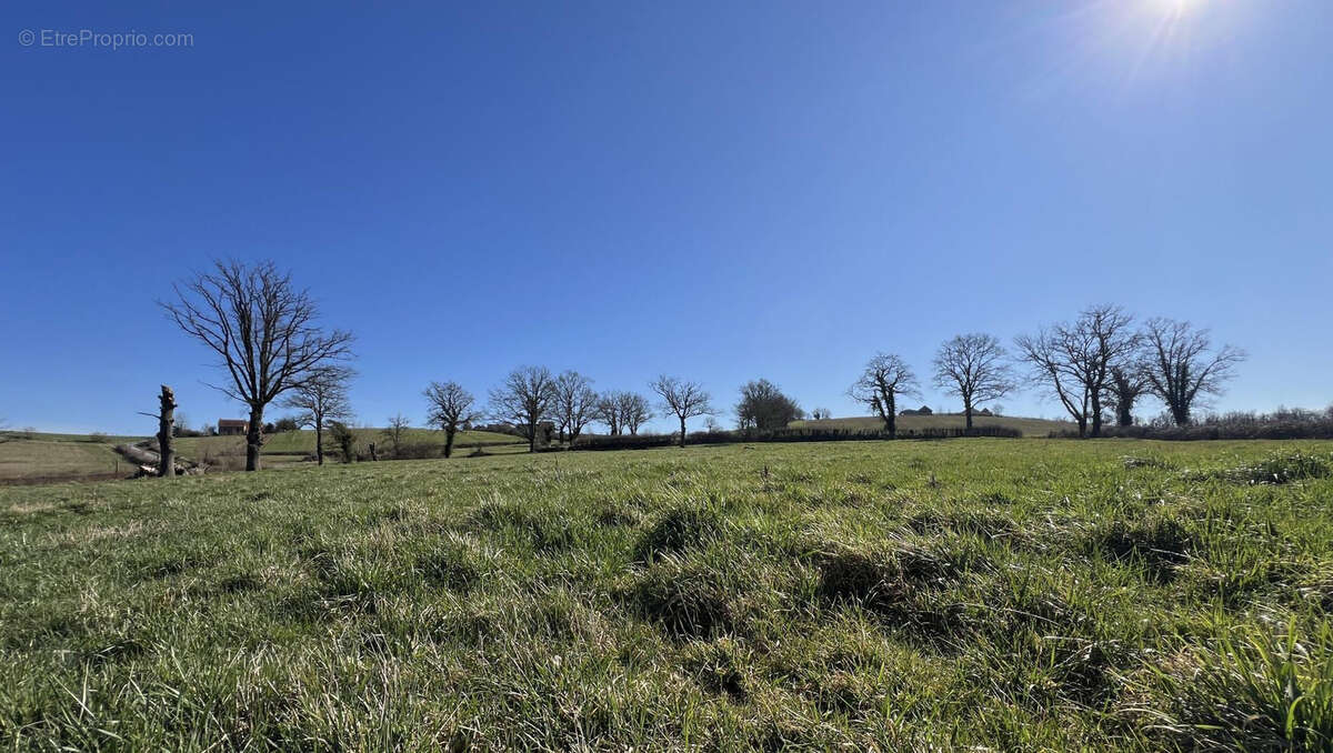 Exploitation céréalière de 170ha dans l'Allier (03) - photo 22