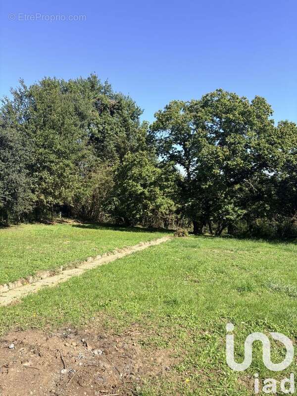 Photo 5 - Maison à SAINT-VINCENT-LE-PALUEL