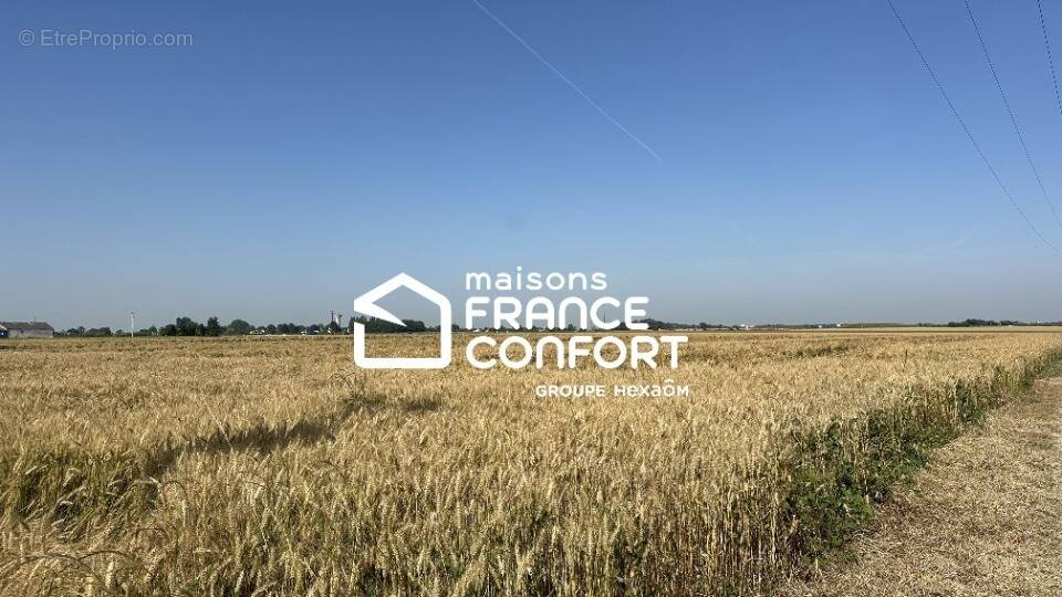Terrain à BRETTEVILLE-L'ORGUEILLEUSE