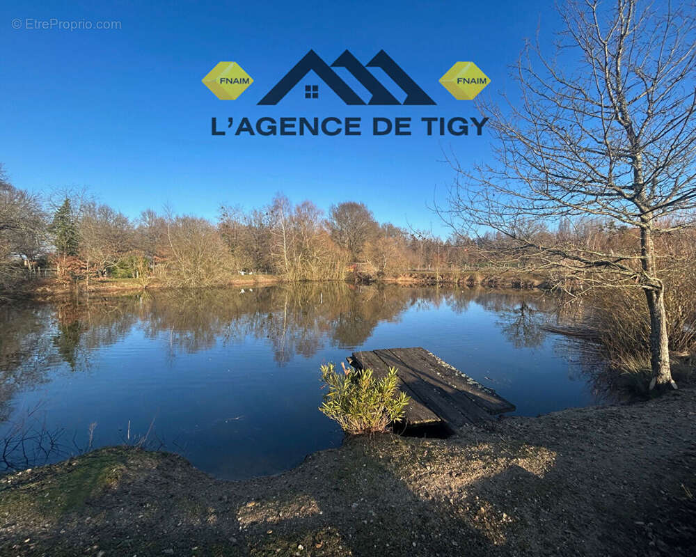 Maison à NEUVY-EN-SULLIAS