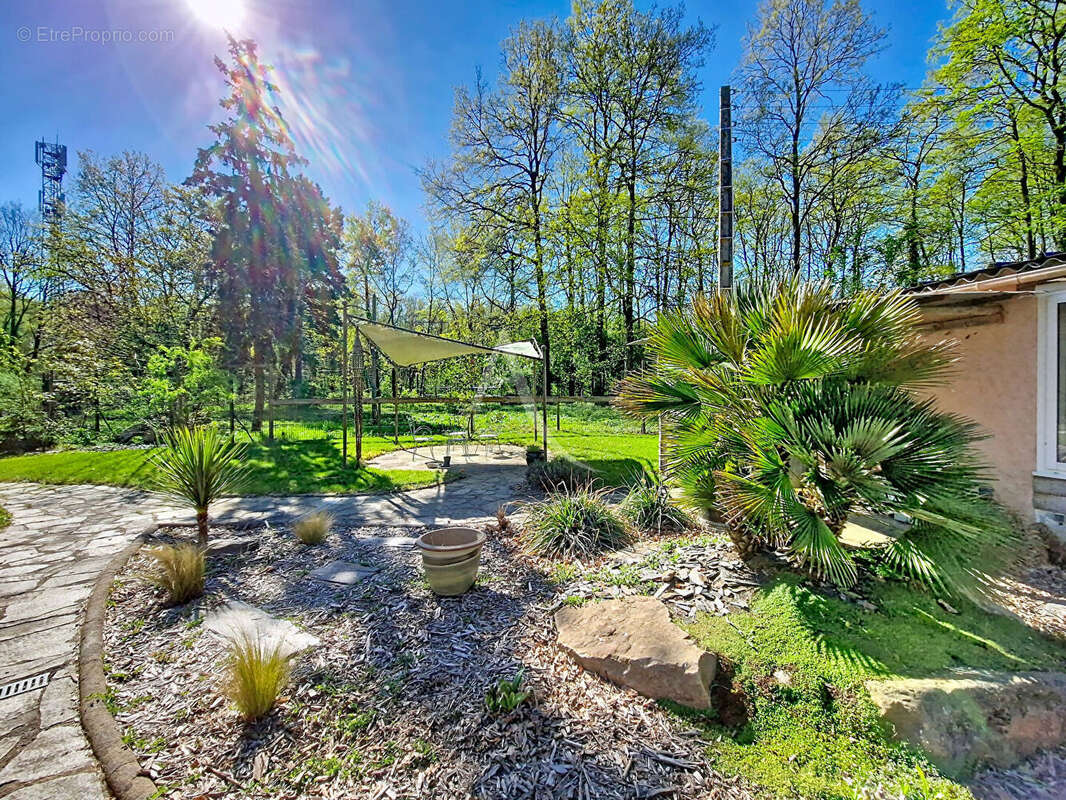 Maison à DOUE-LA-FONTAINE