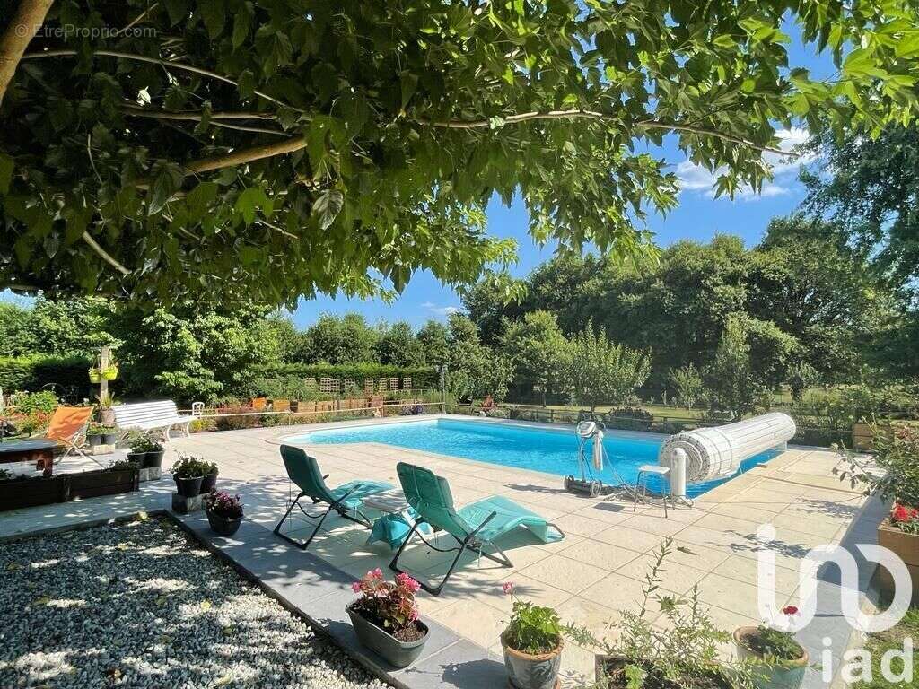 Photo 2 - Maison à BAZAS