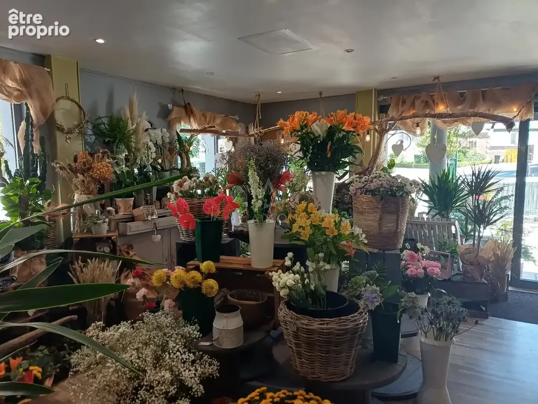 Vente fleuriste empl n° 1 ville dynamique centre 76 à 15 m de Dieppe - photo 7