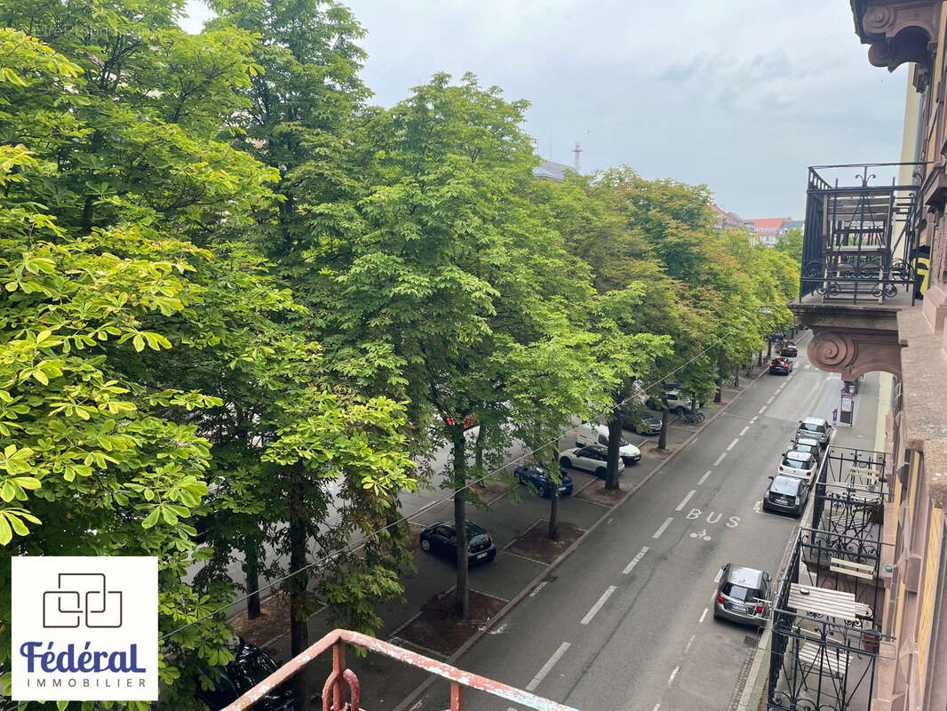 F3 de caractère, 70m2 de charme au cœur d'un quartier prisé de STRASBOURG. - photo 4