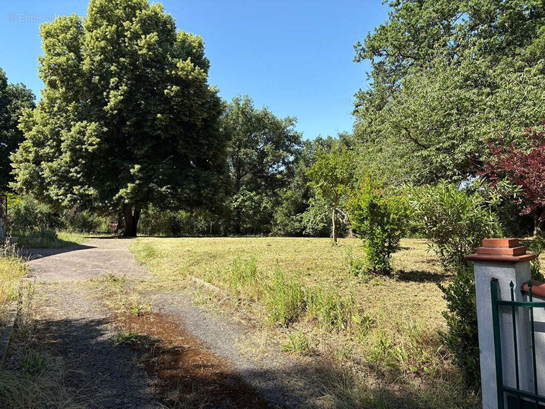 Terrain à MURET