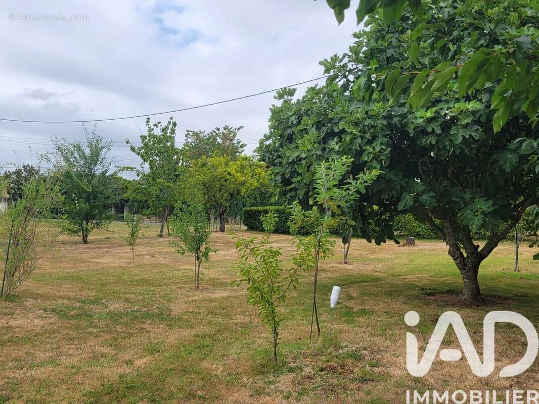 Photo 3 - Terrain à PISANY