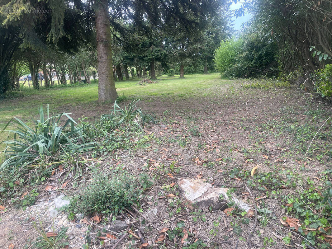 Terrain à SAINT-SORLIN-DE-VIENNE