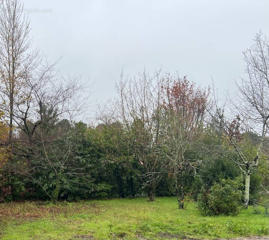 Terrain à AMBARES-ET-LAGRAVE