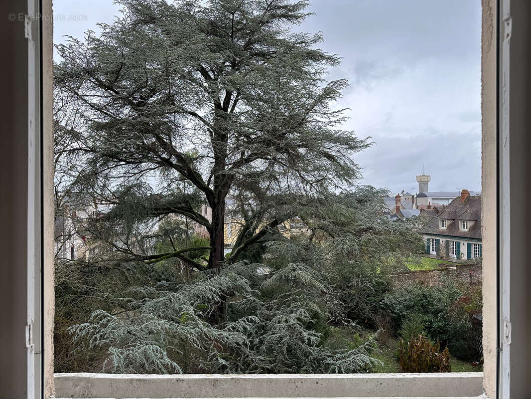 Maison à ROMORANTIN-LANTHENAY