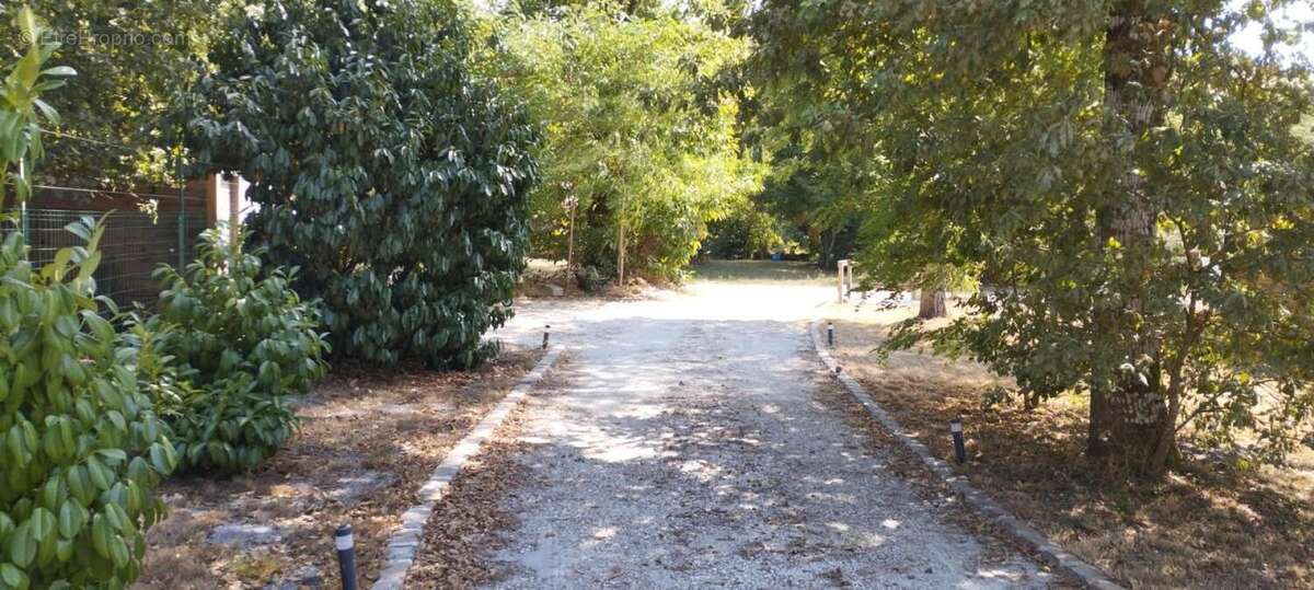 Photo 2 - Maison à SALLES