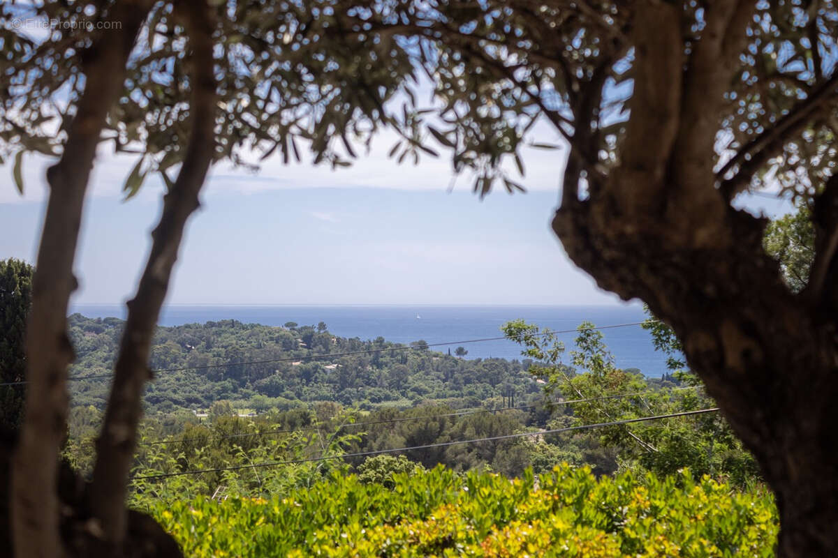 Maison à LA CROIX-VALMER