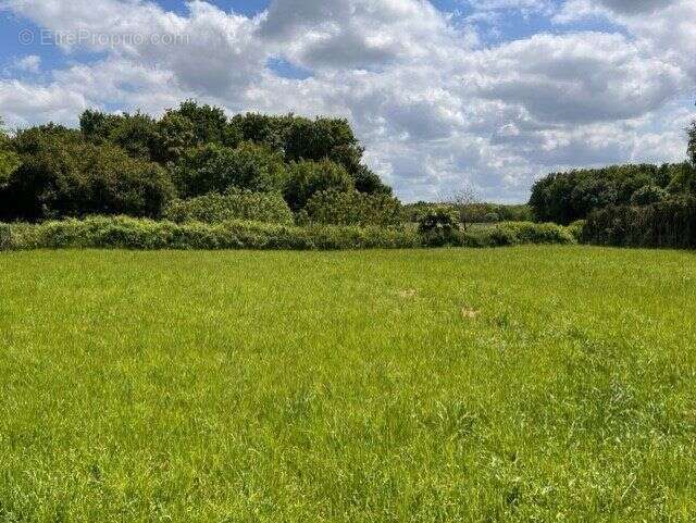Terrain à L'ILE-D'ELLE