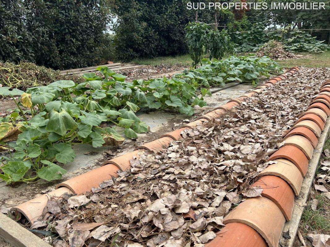 Maison à TORREILLES