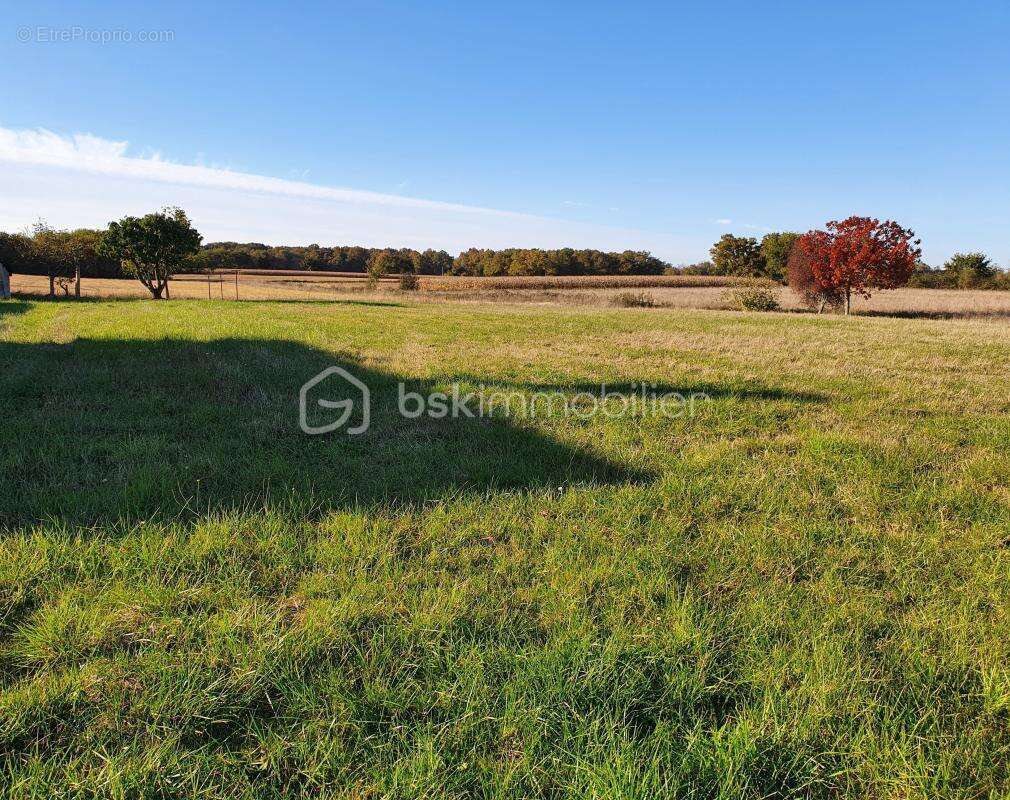 Terrain à BARCELONNE-DU-GERS
