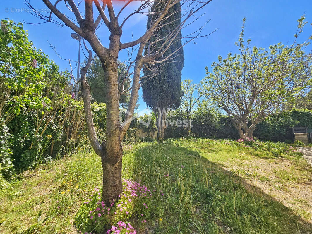 Maison à SAINT-AUNES