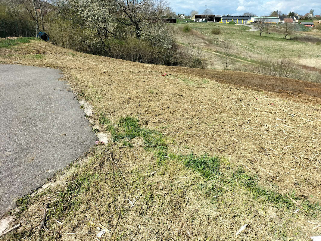 Terrain à FERRETTE