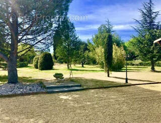 Commerce à SAINT-LAURENT-DES-ARBRES