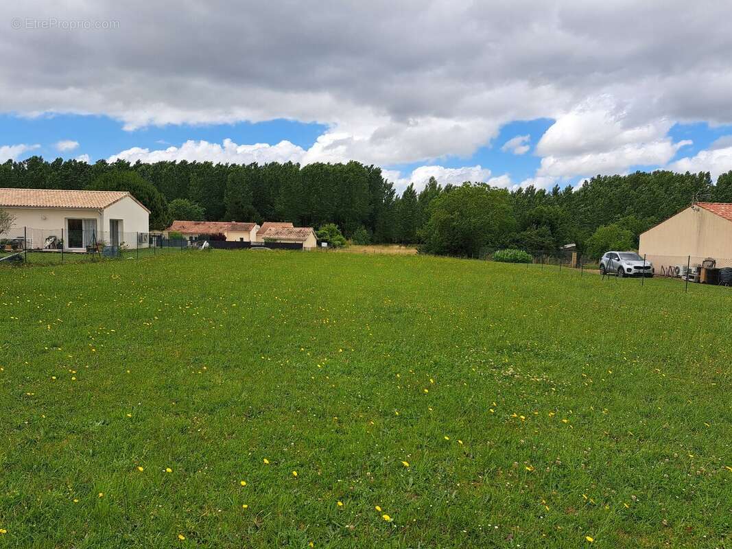 Terrain 1337 m² à Baignes-Sainte-Radegonde  - photo 6
