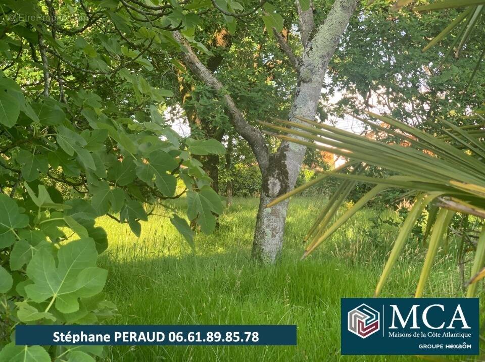 Terrain à PORT-DE-LANNE