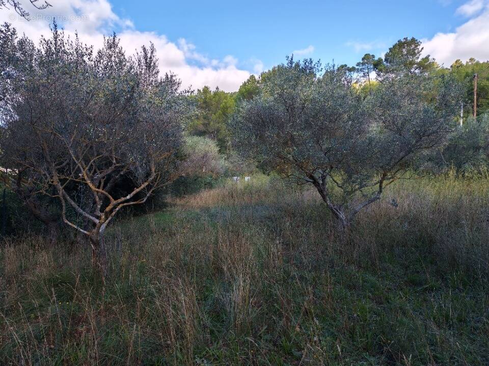 Terrain à CARNOULES