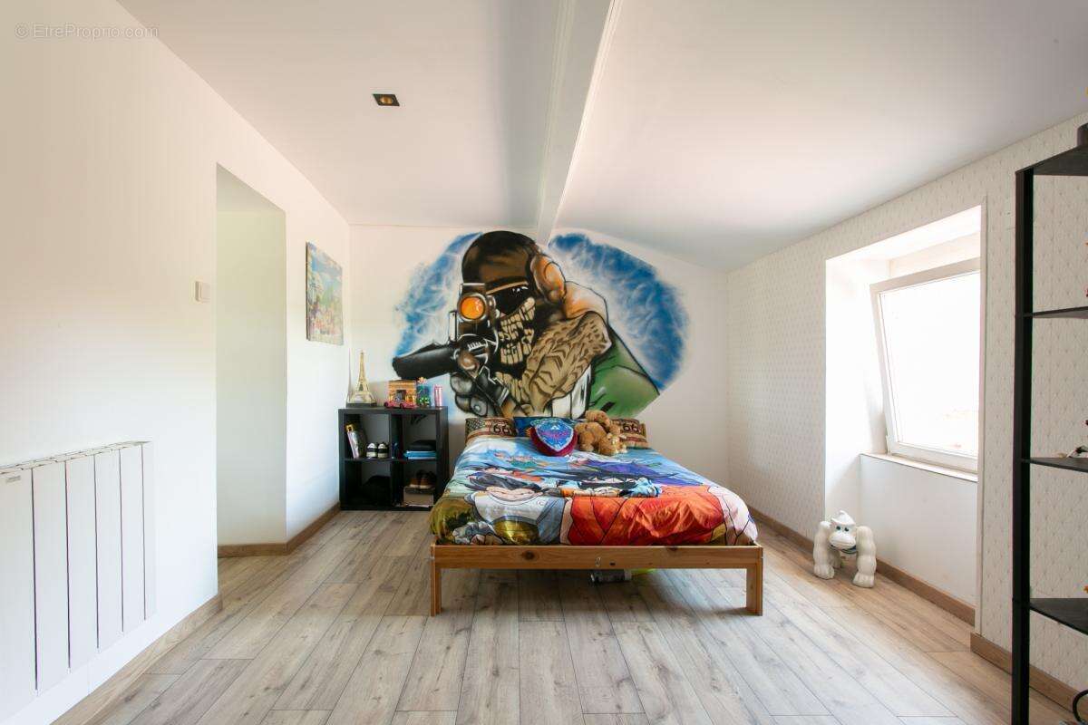 Maison+gite+hangar MESANGER aux portes d'Ancenis - photo 11