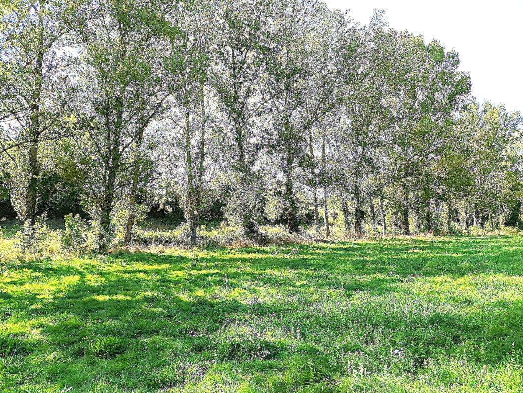 Maison à MIRANDOL-BOURGNOUNAC