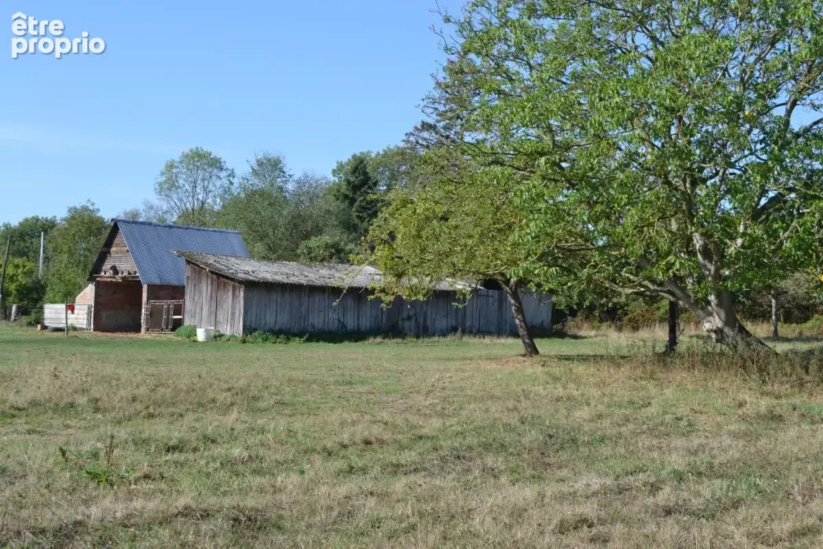 Maison de campagne sur 3ha à bâtir (27) - photo 11