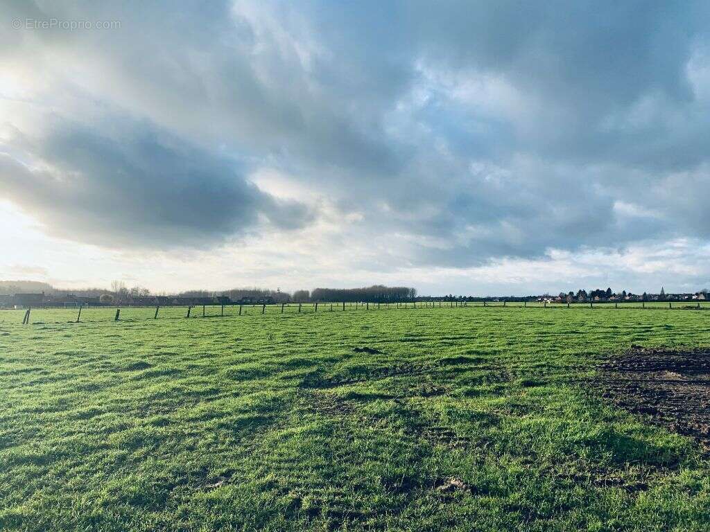 Terrain à RACHES