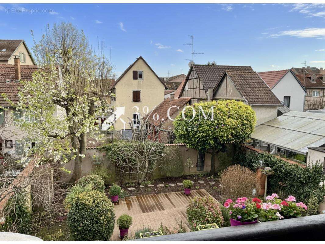 Appartement à SCHILTIGHEIM