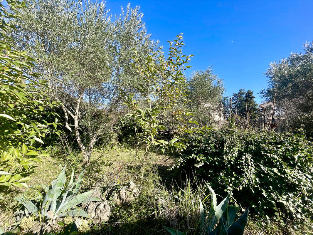Maison à CLERMONT-L'HERAULT
