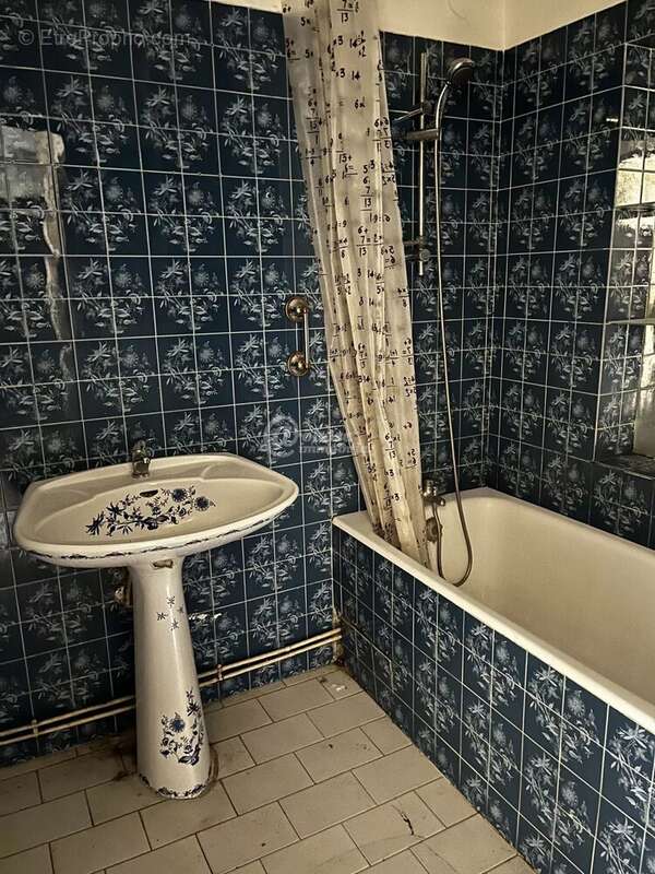 55m2  a renover 13003 - photo 6