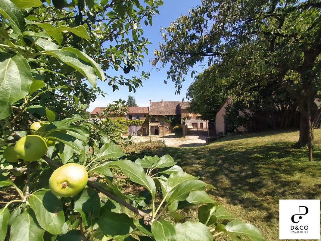 Maison à MACON