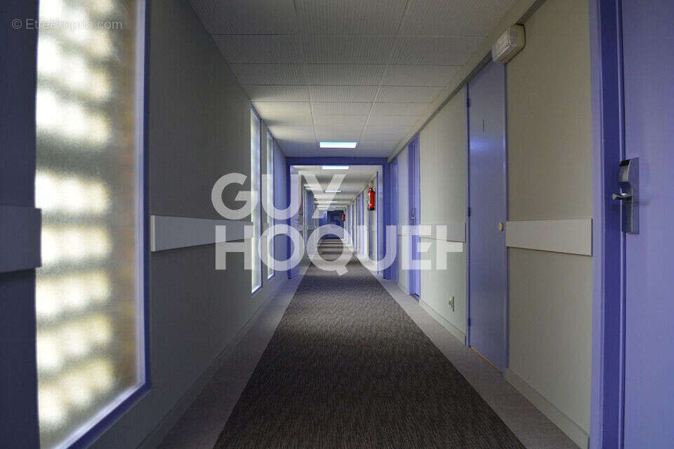 Commerce à MONTAUBAN