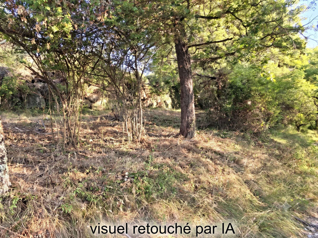 Terrain 505 m² à Coux  - photo 5
