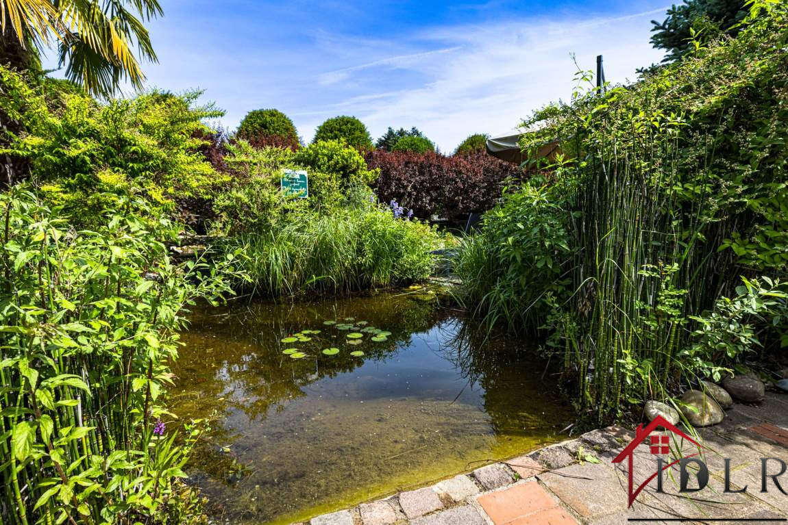 Commerce à VERDUN-SUR-LE-DOUBS