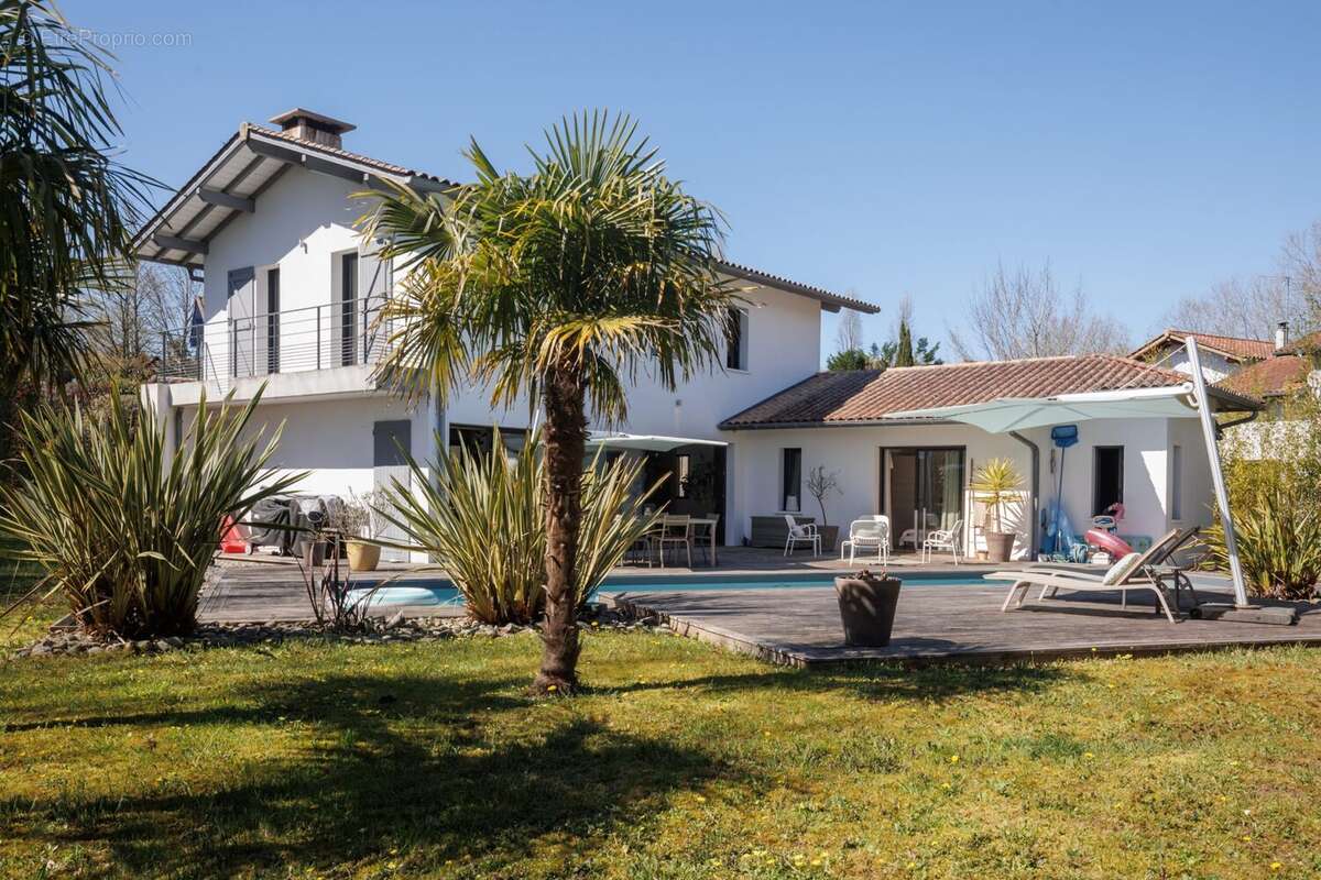 Maison à BASSUSSARRY