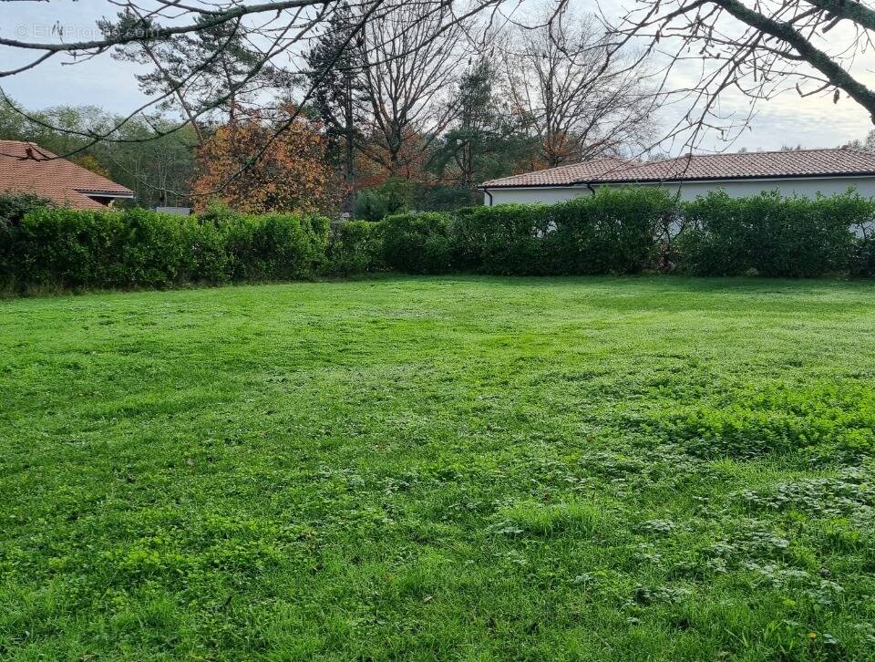 Terrain à VILLENAVE-D'ORNON