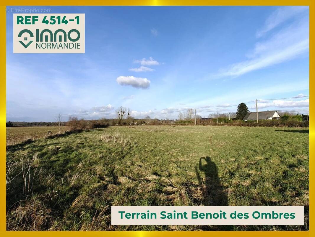 Terrain à SAINT-BENOIT-DES-OMBRES