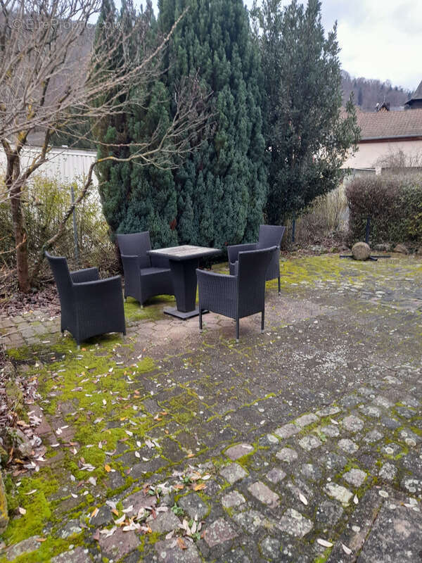 Appartement à RIBEAUVILLE